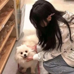 妖怪别跑官方版下载